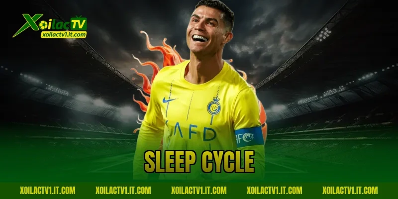 Sleep Cycle Là Gì? Bí Mật Giúp Tối Ưu Hiệu Suất – XoilacTV